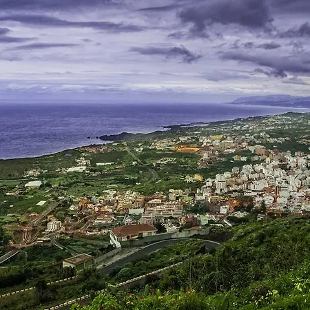 Vistas De Abajo Icod De Los Vinos