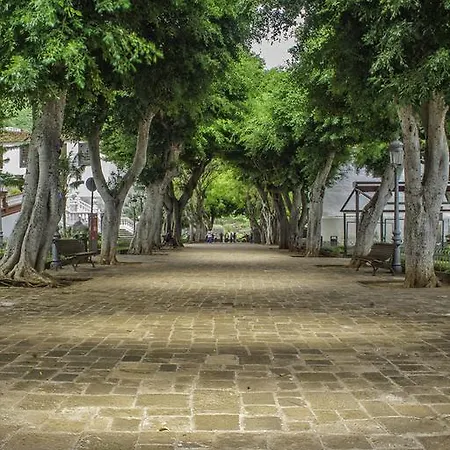 Vistas De Abajo